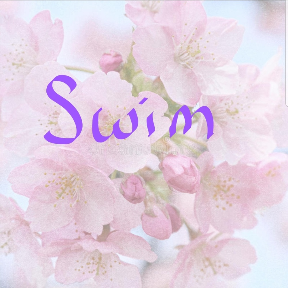 Swimwear